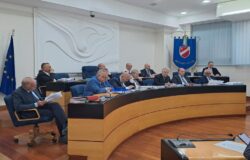 Giunta, Molise, parificazione, Rendiconto generale, esercizio finanziario