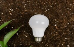 Isernia, energia pulita, Comunità Energetica Rinnovabile