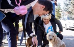 Randagismo, mozione, M5S, Andrea Greco