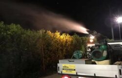 Venafro, virus, West Nile, disinfestazione