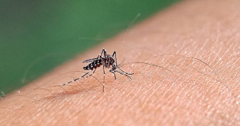 West Nile Virus, ASReM,