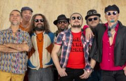 pietracatella, bandabardo