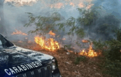Carabinieri, incendio, Alto Molise