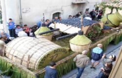 Molise, sagre, cultura