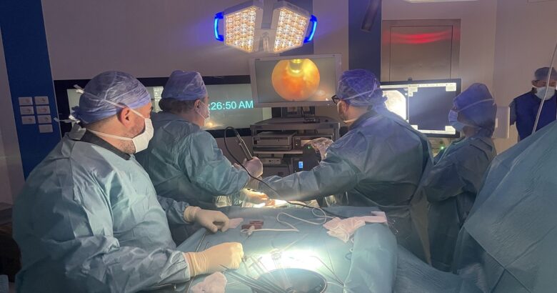 Neuromed, Endoscopia Spinale
