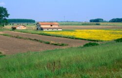 agricoltura biologica