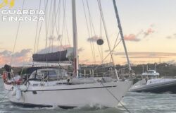 Barca a vela, naufragio, salvati, uomo, cane