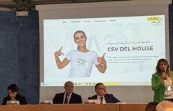 Festa del Volontariato, Termoli, associazioni,