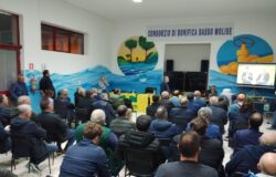 Grano duro, Coldiretti Molise, contratto di filiera, CAI