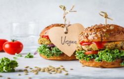 UE DICE NO A DENOMINAZIONI COME HAMBURGER E BISTECCHE PER PRODOTTI VEGETALI