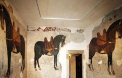 Venafro, castello Pandone, cavalli