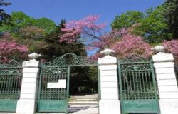 villa de capoa campobasso