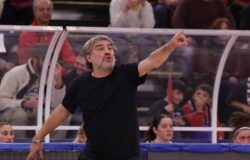 Basket, La Molisana Magnolia, Roseto