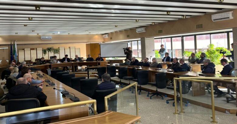 Sanità, Provincia di Isernia, piano d’azione, comitato organizzativo