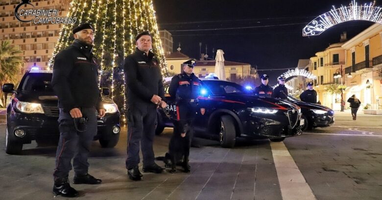 Controlli, Carabinieri, denunce, sequestri, droga, sanzioni