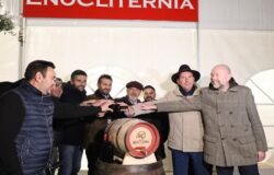 EnoCliternia, vino molisano