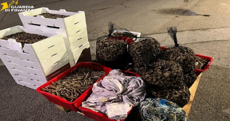 Guardia di Finanza, maxi-sequestro, pesce irregolare, sanzioni