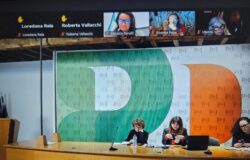 Micaela Fanelli, segreteria nazionale, Donne Democratiche