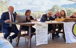 Parco dell’Olivo, Iannucci, bilancio