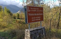 Pnalm, Parchi, Pizzone II