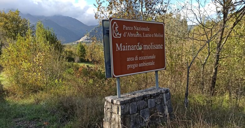 Pnalm, Parchi, Pizzone II