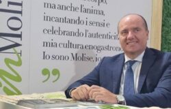 “Promozione Molise 2026”, manifestazioni di interesse, imprese agroalimentari
