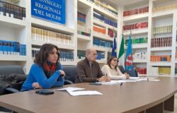 Regione Molise, incontri del lunedì, problematiche, minori in difficoltà, capigruppo, Associazioni