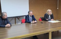 Sanità, Di Santo, Veneziale, medici