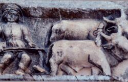 Storia dell'agricoltura molisana, libro, Michele Tanno