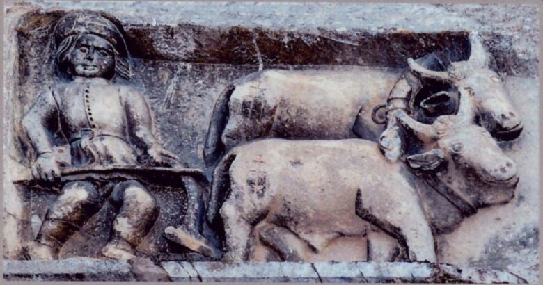 Storia dell'agricoltura molisana, libro, Michele Tanno