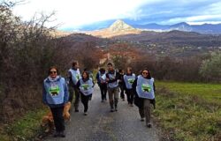 Parchi, Pizzone II, orso marsicano