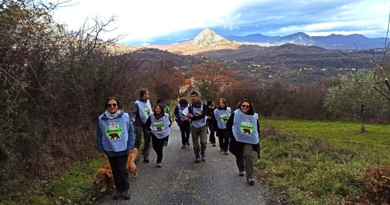 Parchi, Pizzone II, orso marsicano