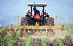 Rifiuti agricoli, Coldiretti, Molise, semplificazione