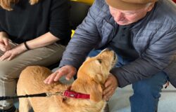 Trivento, Elody, unità cinofila da soccorso, Centro Giovani Dentro