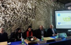 Venolea, olio, Parco dell’Olivo, Venafro