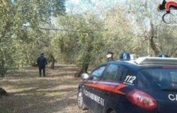 furti, campagna, Molise, allarme, coldiretti