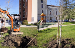 Campobasso, alberi, Cretella