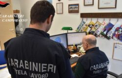 Carabinieri, droga, sanzioni, denuncia, sicurezza sul lavoro