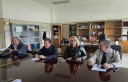 Chirurgia robotica, Molise, Cardarelli