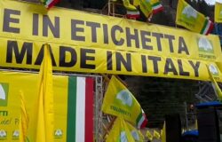Coldiretti Molise, Codice Doganale, Made in Italy