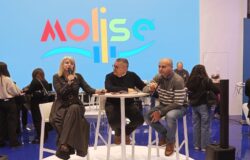 Molise, BIT, Nomadi Digitali, Cofelice