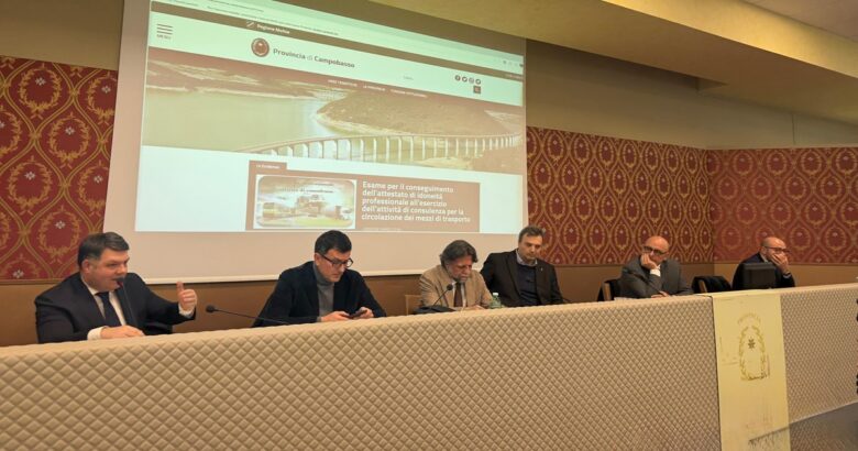 Sanità, Guardie mediche, Commissari, Conferenza dei Sindaci