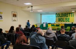 Zootecnia, Coldiretti Molise, operatori