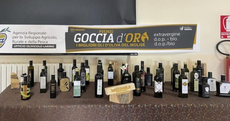 larino, goccia d'oro