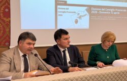 Conferenza dei Sindaci, emendamento, sanità