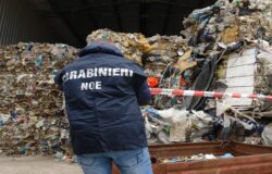 Operazione, Fort Apache, traffico illecito, rifiuti, Molise