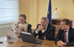 Regione Molise, Dog friendly hospital, animali, pazienti