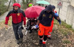 Venafro, cercatore, funghi, disperso, bosco, allarme, Soccorso Alpino