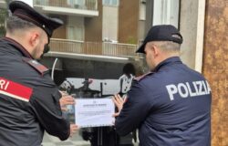 Venafro, sospesa, licenza, locale, Questore