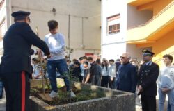 Venafro, studenti, Forestali